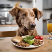 为什么狗狗在进食时可能会对某些食物过敏？
