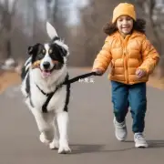 狗驱虫之后多长时间可以去散步和运动？