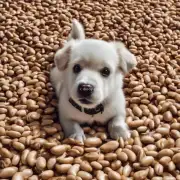为什么狗不吃豆？