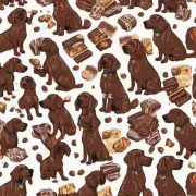 狗为什么不能吃巧克力呢？