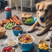 如果是第一次给狗买粮食的话有没有什么建议和注意事项？