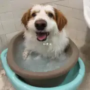User 你好我现在在寻找有关于狗洗澡频率的信息我想知道小狗多久可以洗一次澡呢？
