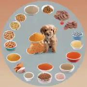 你希望了解一些常见的狗狗食品成分以及它们对犬只的影响吗？