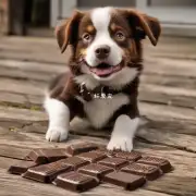 为什么有些狗只喜欢吃巧克力而其他狗只会不吃或讨厌它？