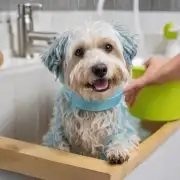如果一个宠物主人没有足够多的时间来给狗狗频繁地洗澡怎么办？