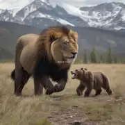狮子和熊有什么区别在结扣上吗？