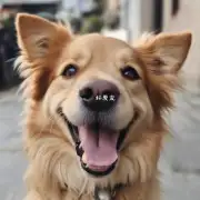 为什么狗狗会在开心时微笑？这是因为它们天生具有表达情感的能力吗？