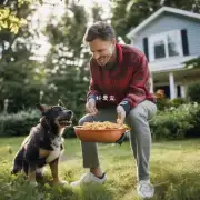 当狗狗在户外活动时是否必须进食？