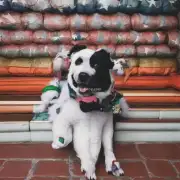 狗衣服是怎么做的？