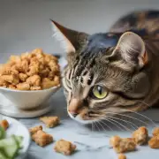 如果我的猫咪不喜欢吃某些特定类型的食物怎么办？