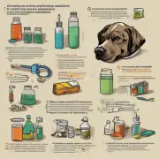 当一个狗被误食了有毒物质时有哪些药物可以用于治疗它的病症？