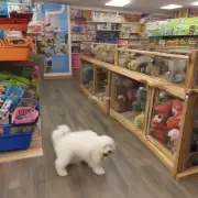 如何在宠物商店购买一只健康且活泼好动的小狗？