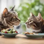 如何正确地喂养你的宠物猫以保证他们的身体健康状况良好？