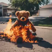 为什么泰迪会下火呢？