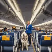 哪些航空公司允许乘客带大狗登机？
