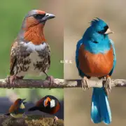 有些治疗方法对不同种类的小鸟是否有差异性呢？如果是的话这种差异是如何体现的？