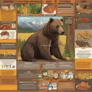 不同种类和品牌之间的食品差异如何影响到比熊犬的饮食需求？