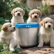 小狗吃的时候可以喝水吗？