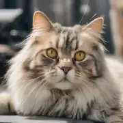 什么是导致猫咪出现黄疸的原因之一？