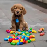 小狗为什么会吃掉自己的玩具？