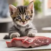 小猫咪多大了才能开始吃肉类食物？