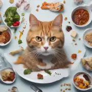 为什么猫咪不吃饭？