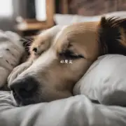 你认为这种睡眠方式对狗崽有什么积极影响或消极影响？
