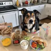 有哪些食物是不能给患病的狗狗吃吗？
