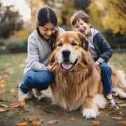 为什么有那么多家庭和公寓都选择了大型犬作为他们的宠物？
