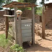 是否有一些技巧可以分享给那些初次尝试自行建造狗狗厕所的人们？