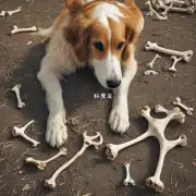 为什么狗会喜欢吃骨头？