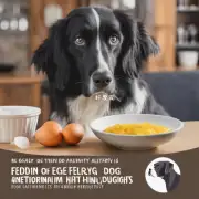 对于那些有食物过敏史或对某些成分敏感的人来说是否建议避免给狗狗喂食蛋类食品？