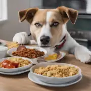 为何在吃饭时不能放太多食物让狗狗一次性吃掉吗？