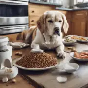 为什么狗会拒绝食物？