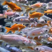 什么原因导致了鱼类无法正常呼吸并最终导致其窒息身亡？