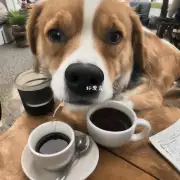 狗为什么不能喝咖啡？