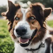 在死亡过程中当狗狗咬紧牙关时为什么会出现口腔出血现象？