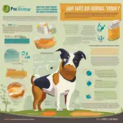 有哪些食物和药物可以缓解或治愈宠物犬的腹泻症状吗？