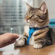 为什么猫在接种疫苗时会出现疼痛感和不适感呢？