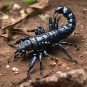 如何处理潜在危险因素可能影响到宠物蝎子的生命安全吗？