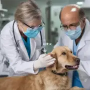 在宠物医院里给金毛犬接种狂犬病和细小病毒疫苗的价格是多少？