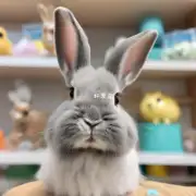 在我们的宠物店里您可以为我的兔子选择什么样的发型吗?