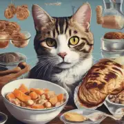 四有些猫对食物过敏或者不喜欢某些成分应该怎么办？