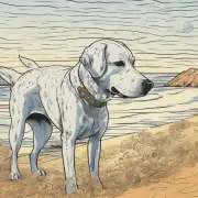 狗如何通过观察声波来定位物体的位置或移动方向？