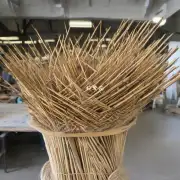 如何修剪竹子枝条以及何时最好进行这项工作？