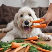 关于你的家庭宠物狗狗为什么喜欢吃胡萝卜?