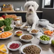 如果你不能提供狗粮和狗食金毛可以食用其他类型的食物吗?