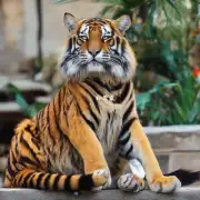 仁慈老虎猫和虎皮鹦鹉的区别在哪里?