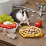 如果仓鼠的饮食已经停滞了多长时间?