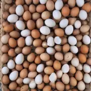 问如果鸡蛋在孵化期间开始有白色斑点出现是否正常?